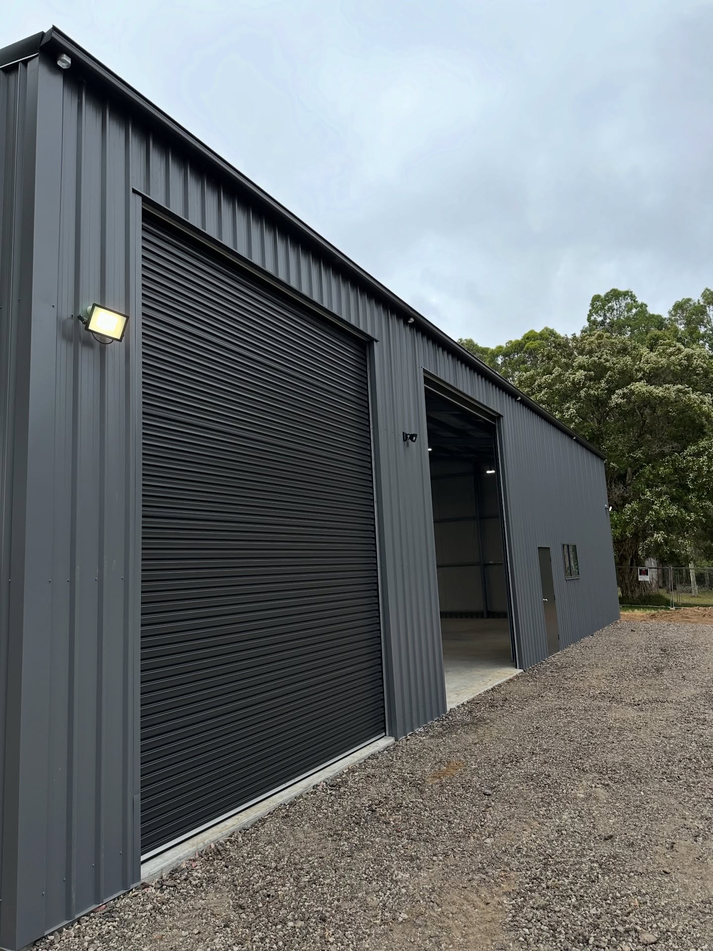 Nelson - November 2025